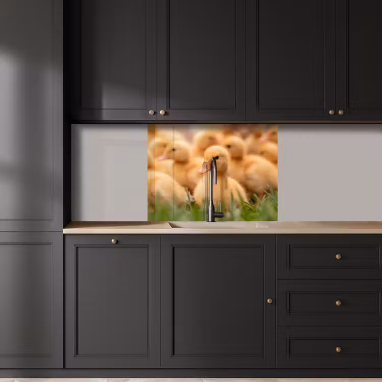 Revestimiento cocina - Flecha - Pato - Naturaleza - Amarillo — 5