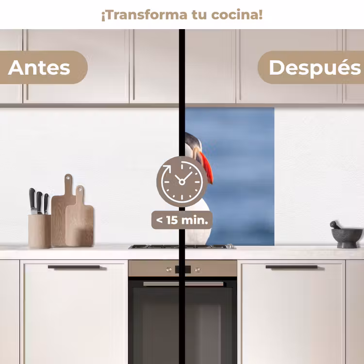 Revestimiento cocina - Frailecillo - Retrato - Naturaleza — 2