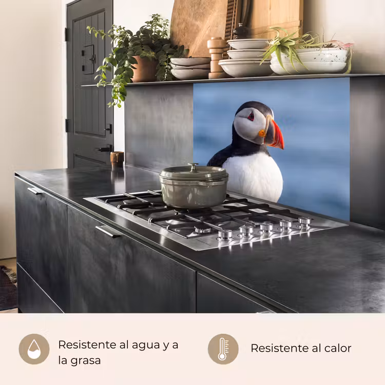 Revestimiento cocina - Frailecillo - Retrato - Naturaleza — 4