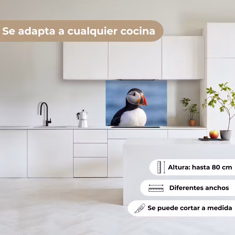 Revestimiento cocina - Frailecillo - Retrato - Naturaleza — 6