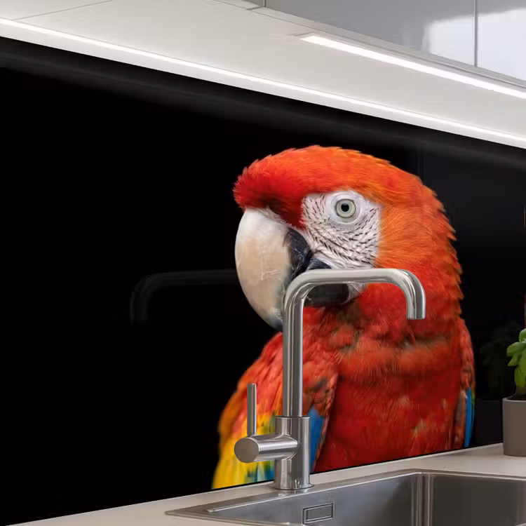 Revestimiento cocina - Guacamayo - Retrato - Rojo — 1