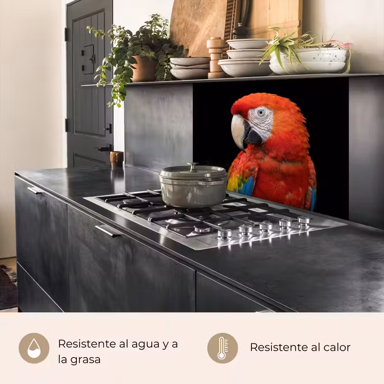 Revestimiento cocina - Guacamayo - Retrato - Rojo — 4