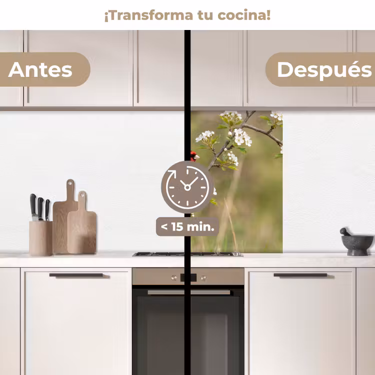 Revestimiento cocina - Jilguero - Flor - Primavera - Naturaleza - Colorido — 2