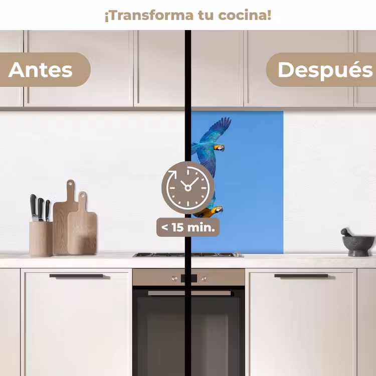 Revestimiento cocina - Loro - Moscas - Azul - Amarillo — 2