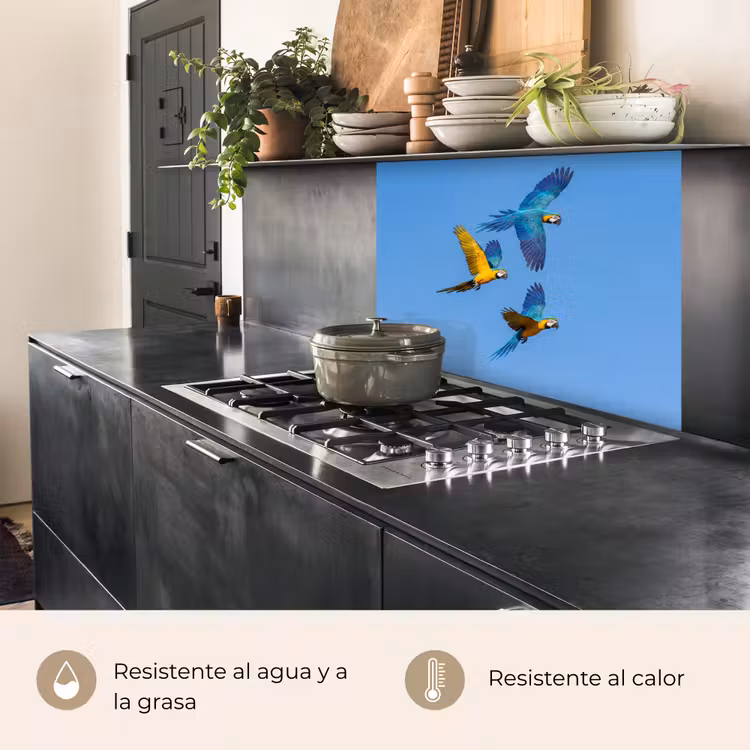 Revestimiento cocina - Loro - Moscas - Azul - Amarillo — 4