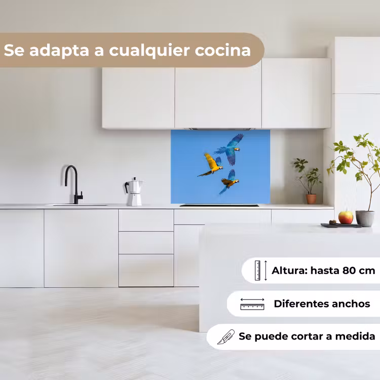 Revestimiento cocina - Loro - Moscas - Azul - Amarillo — 6