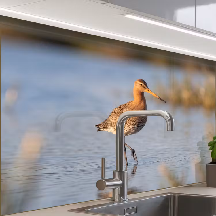 Revestimiento cocina - Pájaro - Zancudo - Agua - Naturaleza — 1