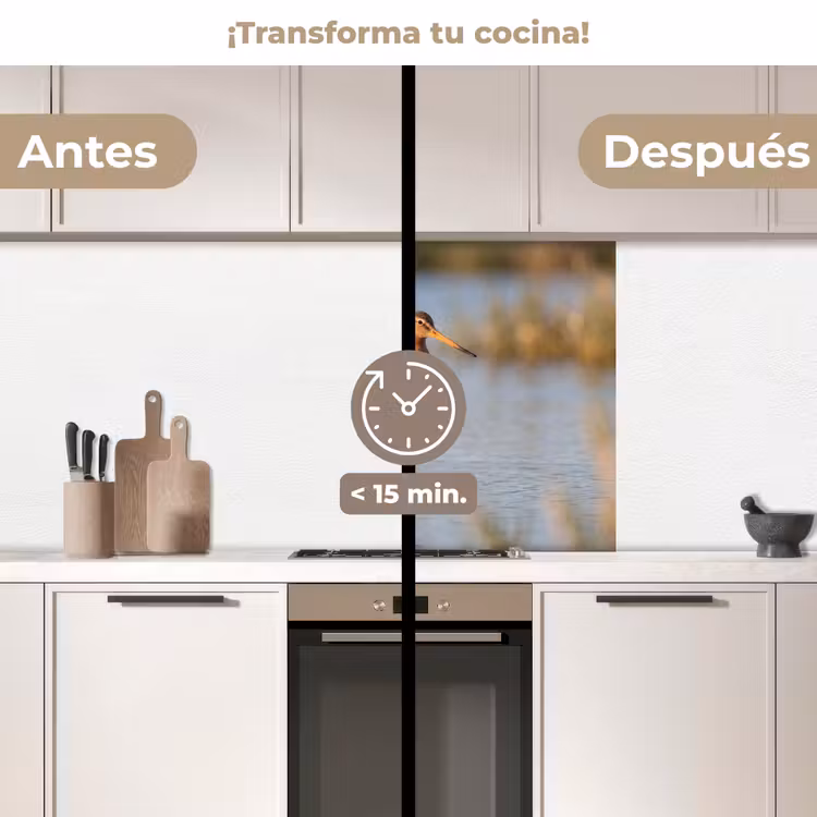 Revestimiento cocina - Pájaro - Zancudo - Agua - Naturaleza — 2