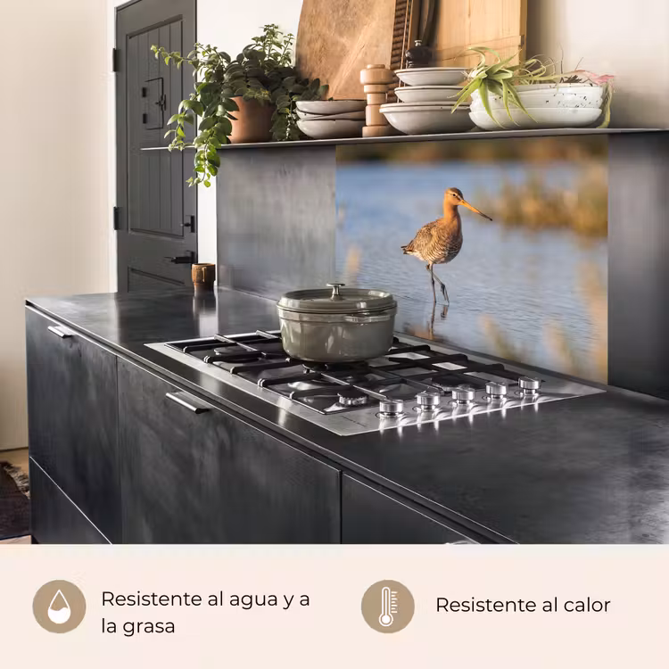 Revestimiento cocina - Pájaro - Zancudo - Agua - Naturaleza — 4