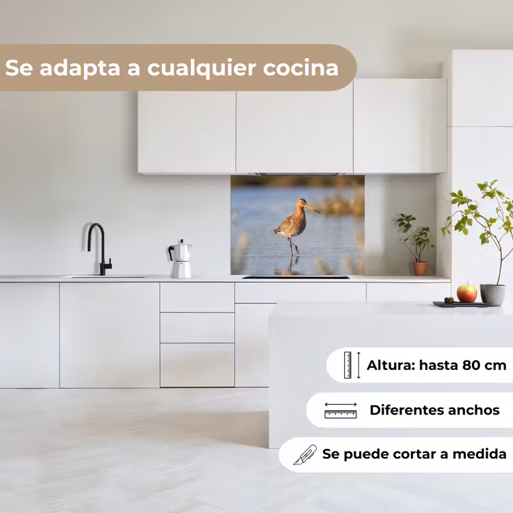 Revestimiento cocina - Pájaro - Zancudo - Agua - Naturaleza — 6