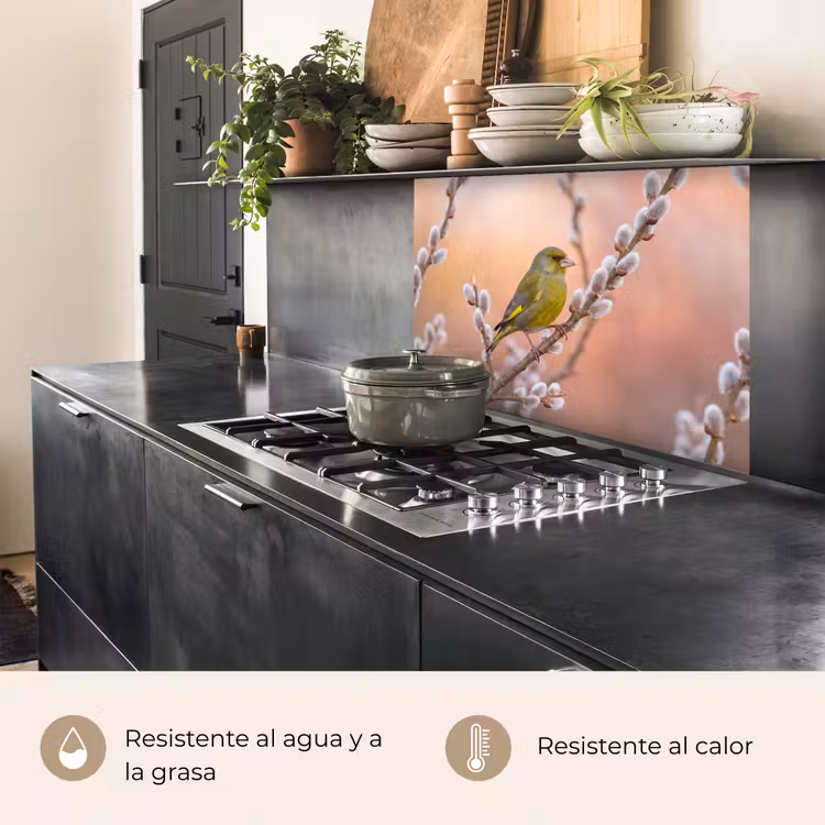 Revestimiento cocina - Verderón - Gatos - Primavera - Naturaleza - Suave — 4