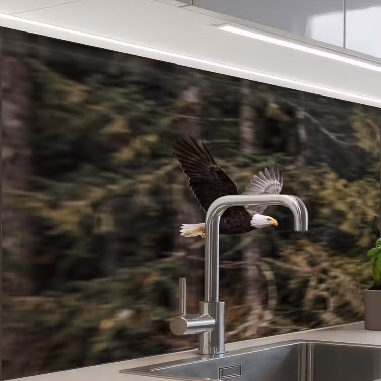 Revestimiento cocina - Águila calva - Volando - Bosque - Naturaleza — 1