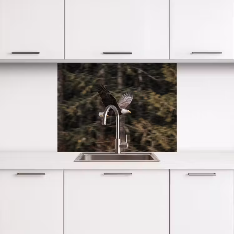Revestimiento cocina - Águila calva - Volando - Bosque - Naturaleza — 3