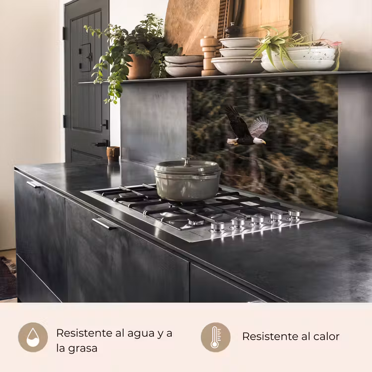Revestimiento cocina - Águila calva - Volando - Bosque - Naturaleza — 4