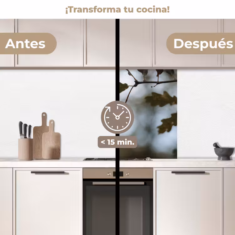 Revestimiento cocina - Bellota - Hoja de roble - Bosque - Otoño - Naturaleza — 2