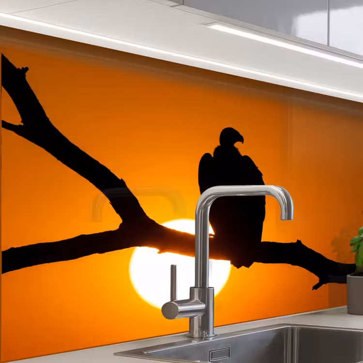 Revestimiento cocina - Buitre - Rama - Sol - Naranja — 1