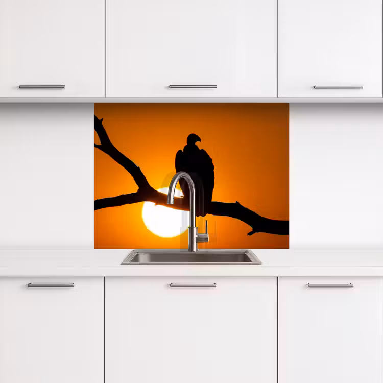 Revestimiento cocina - Buitre - Rama - Sol - Naranja — 3