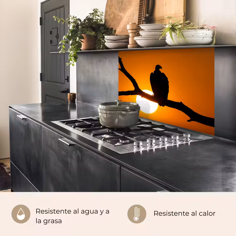Revestimiento cocina - Buitre - Rama - Sol - Naranja — 4