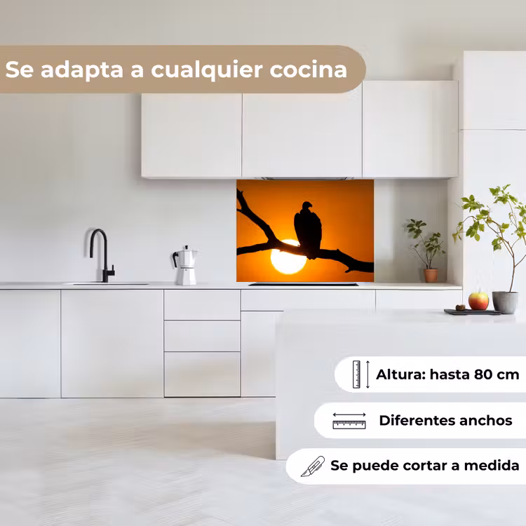 Revestimiento cocina - Buitre - Rama - Sol - Naranja — 6