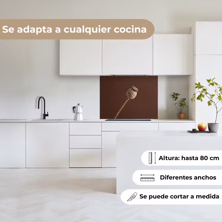 Revestimiento cocina - Bulbo de amapola - Flor seca - Marrón - Minimalista — 6