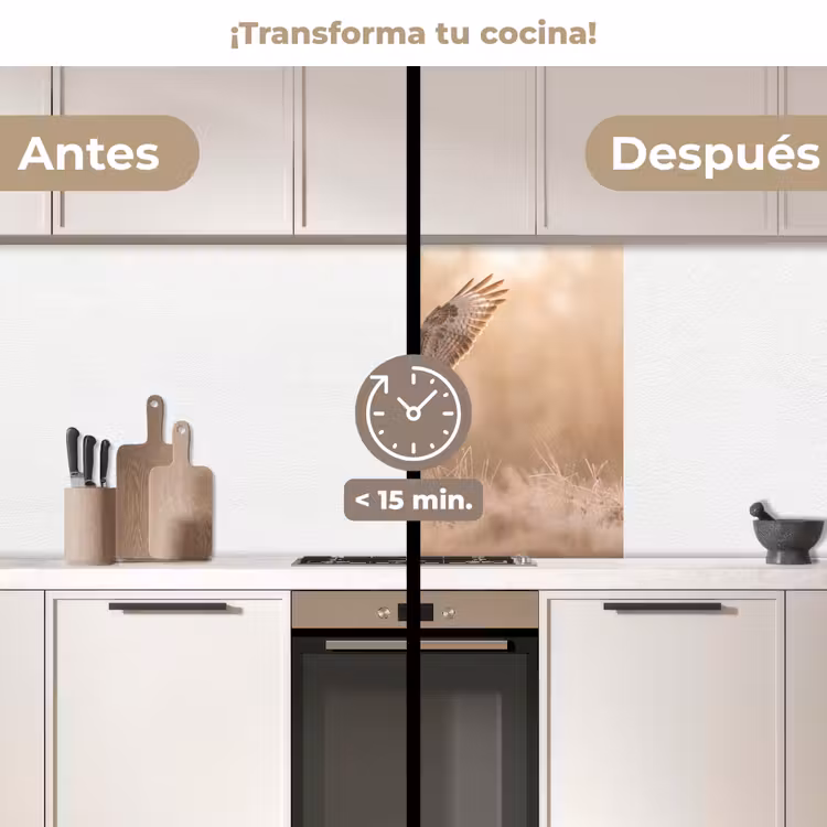 Revestimiento cocina - Busardo ratonero - Ave rapaz - Naturaleza - Marrón — 2