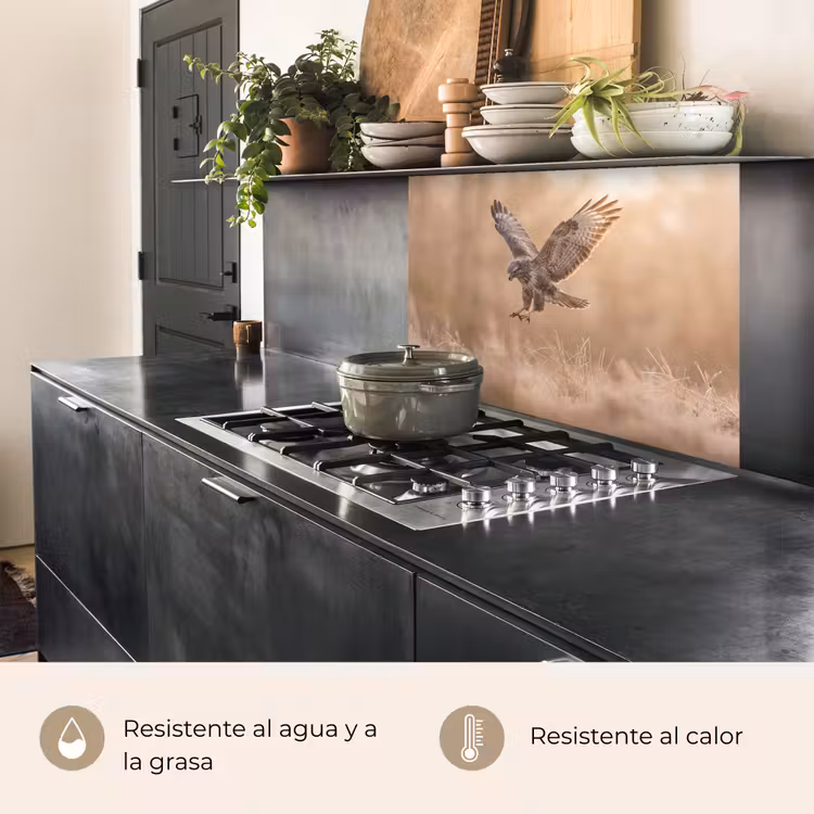 Revestimiento cocina - Busardo ratonero - Ave rapaz - Naturaleza - Marrón — 4