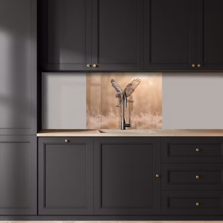 Revestimiento cocina - Busardo ratonero - Ave rapaz - Naturaleza - Marrón — 5