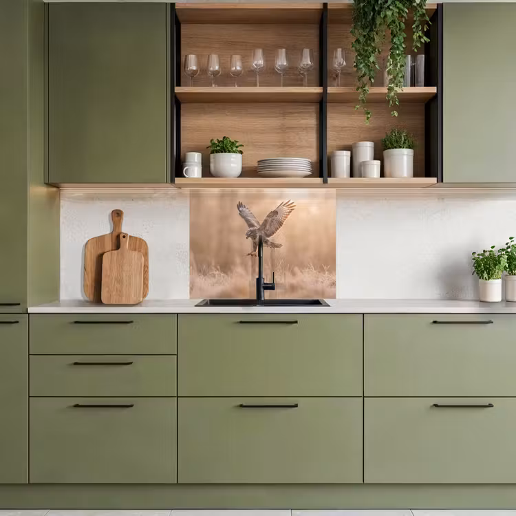 Revestimiento cocina - Busardo ratonero - Ave rapaz - Naturaleza - Marrón — 7