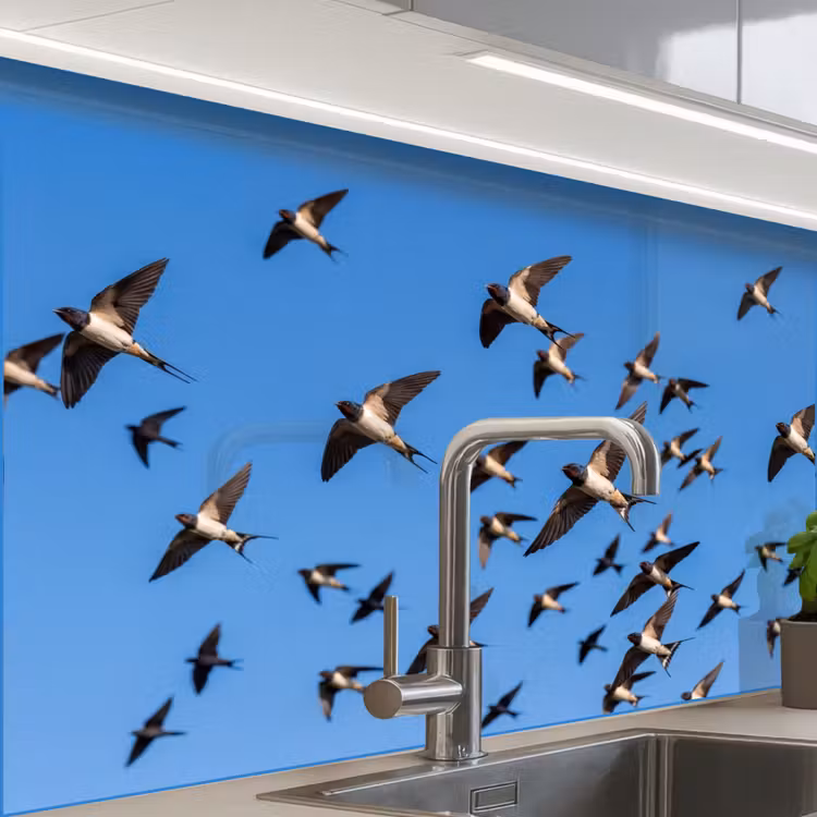 Revestimiento cocina - Golondrinas - Moscas - Azul — 1