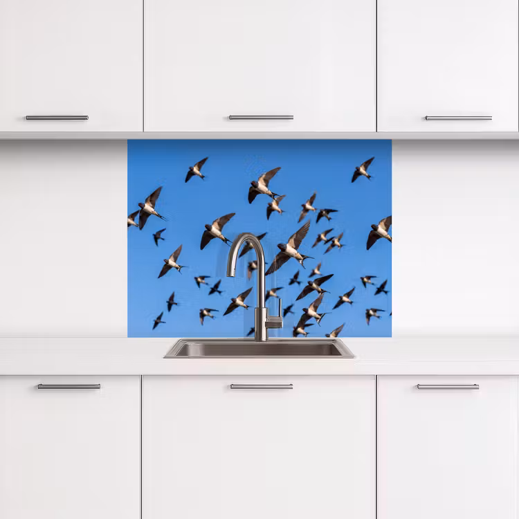 Revestimiento cocina - Golondrinas - Moscas - Azul — 3