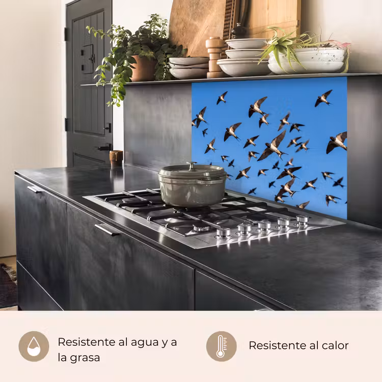 Revestimiento cocina - Golondrinas - Moscas - Azul — 4