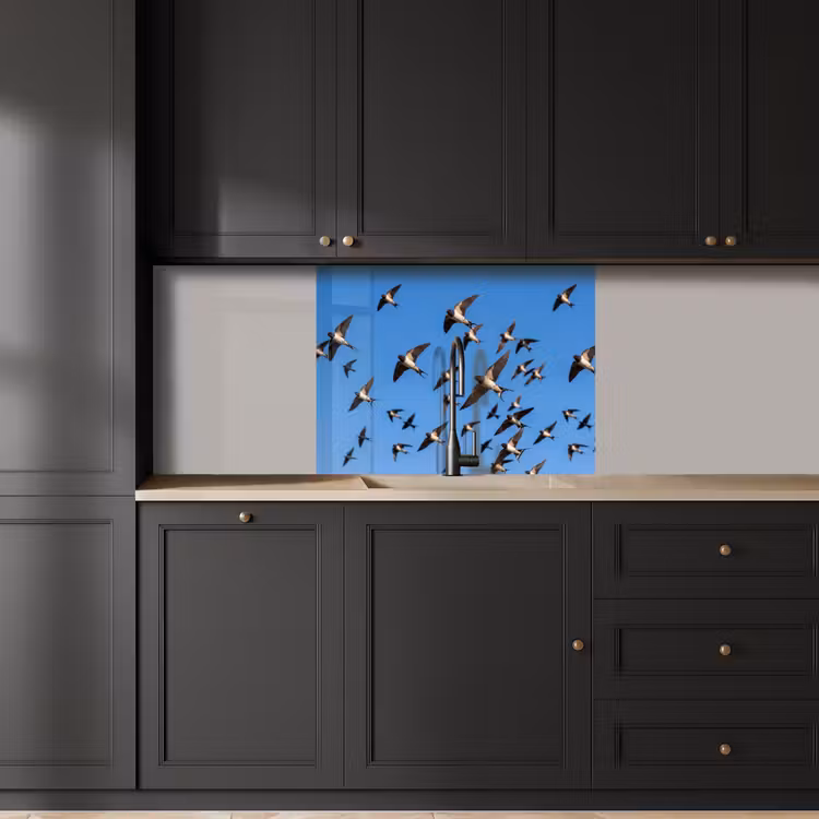 Revestimiento cocina - Golondrinas - Moscas - Azul — 5