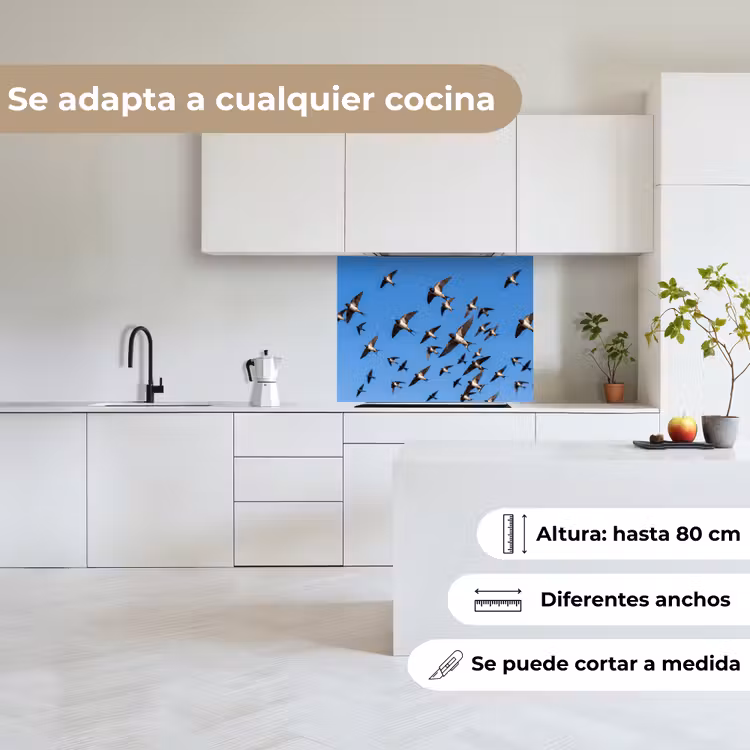 Revestimiento cocina - Golondrinas - Moscas - Azul — 6
