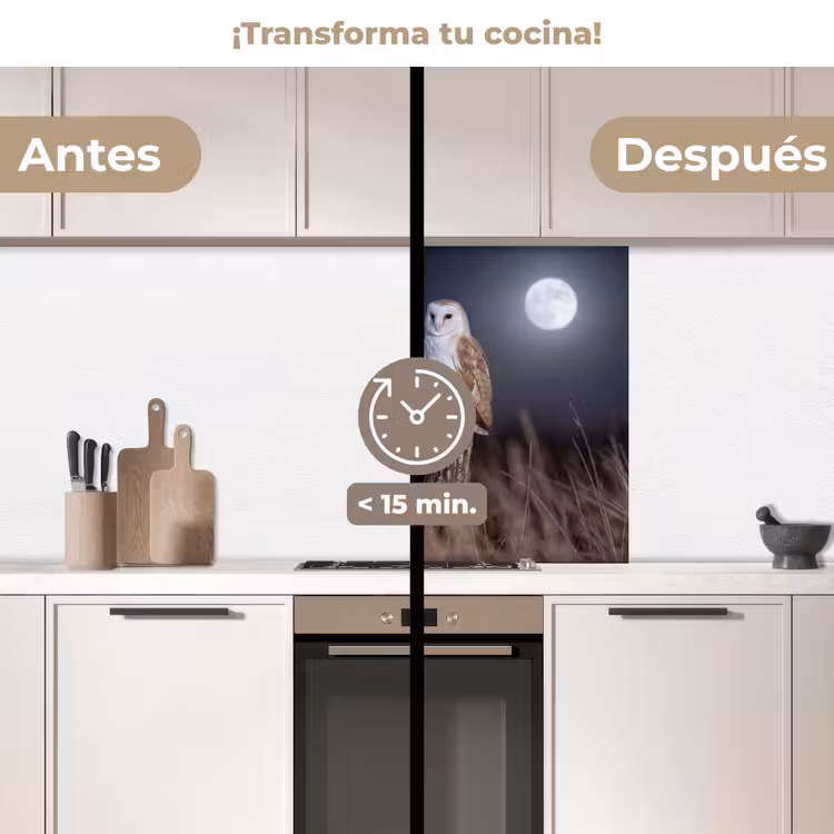 Revestimiento cocina - Lechuza - Luna - Noche — 2