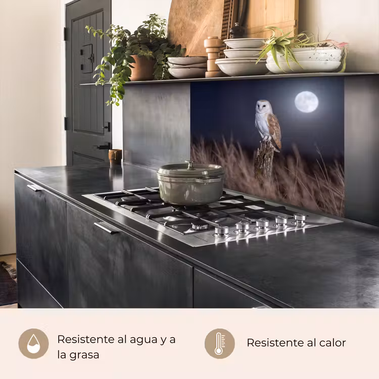 Revestimiento cocina - Lechuza - Luna - Noche — 4