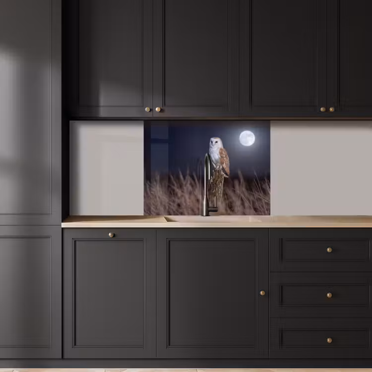 Revestimiento cocina - Lechuza - Luna - Noche — 5