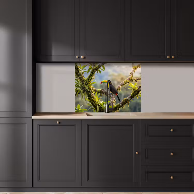 Revestimiento cocina - Tucán - Selva - Naturaleza - Colorido — 5