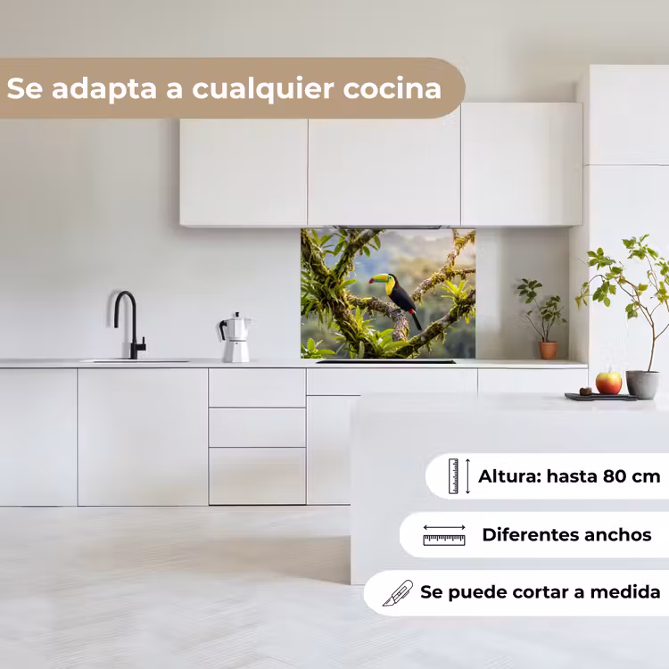 Revestimiento cocina - Tucán - Selva - Naturaleza - Colorido — 6