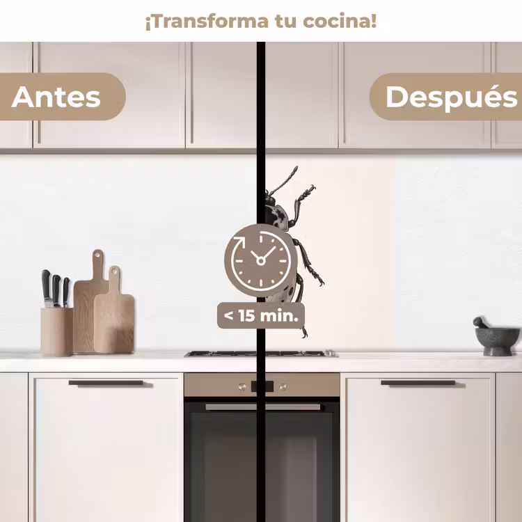 Revestimiento cocina - Escarabajo - Insecto - Vintage — 2