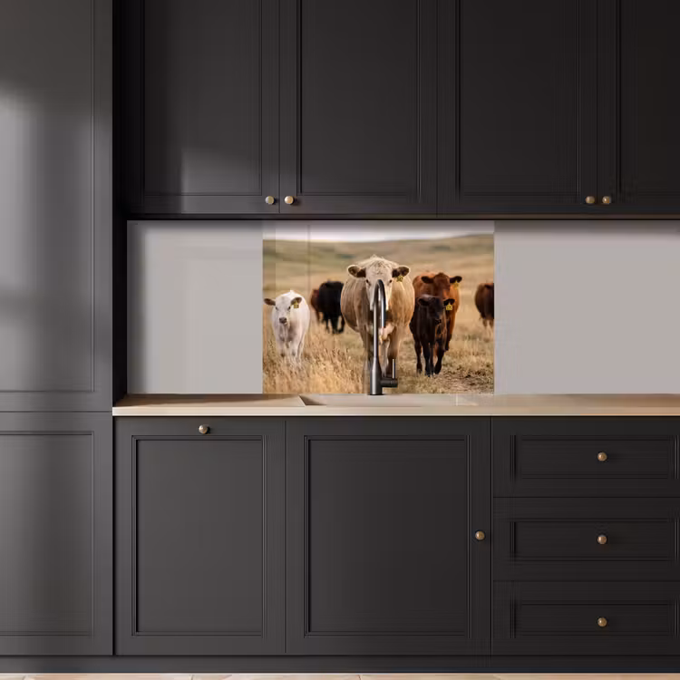 Revestimiento cocina - Ganado - Rebaño - Paisaje - Pradera - Tranquilidad — 5