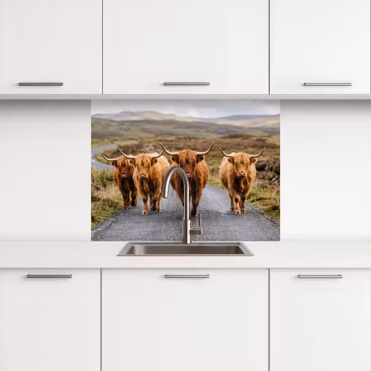 Revestimiento cocina - Highlanders escoceses - Carretera - Paisaje - Rebaño — 3