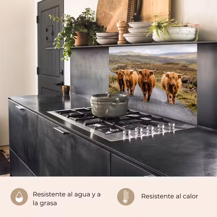 Revestimiento cocina - Highlanders escoceses - Carretera - Paisaje - Rebaño — 4