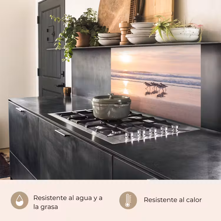 Revestimiento cocina - Mar - Pájaros - Playa — 4