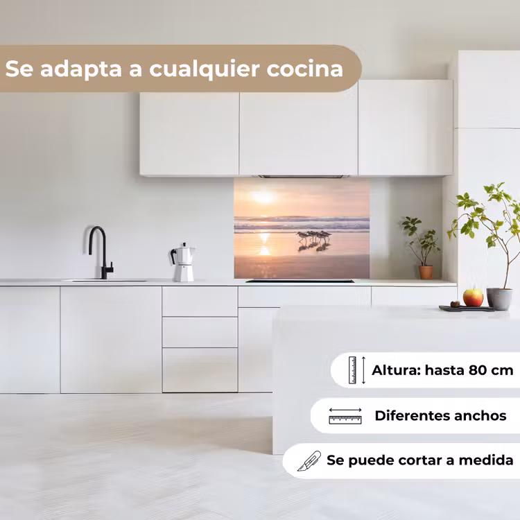 Revestimiento cocina - Mar - Pájaros - Playa — 6