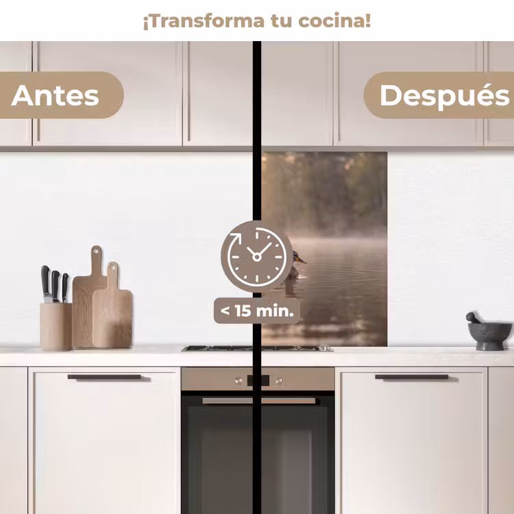 Revestimiento cocina - Patos - Agua - Niebla - Naturaleza — 2