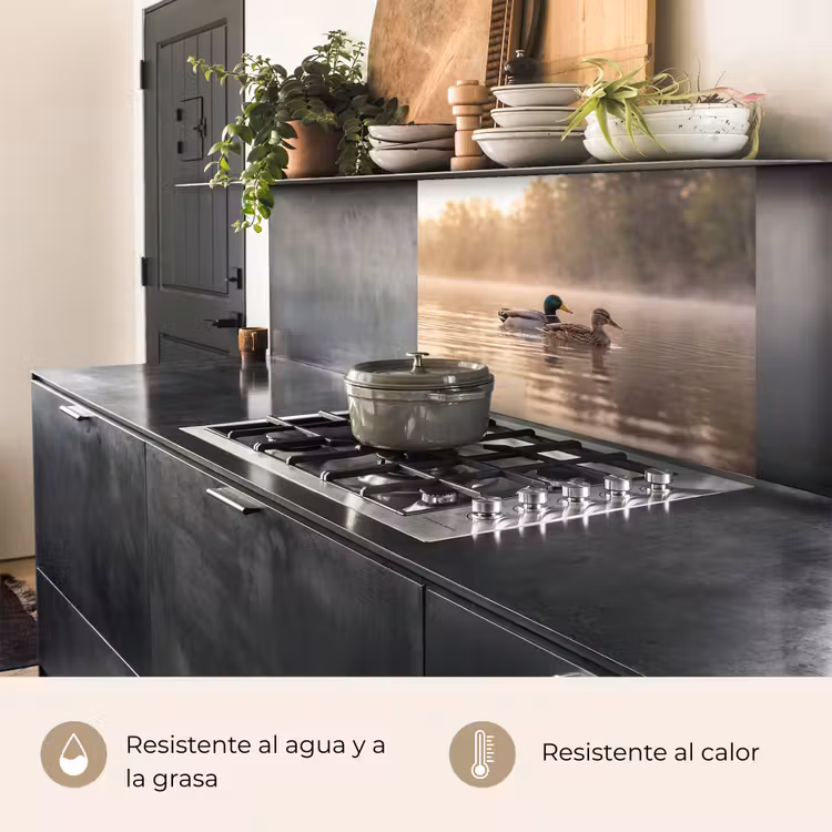 Revestimiento cocina - Patos - Agua - Niebla - Naturaleza — 4