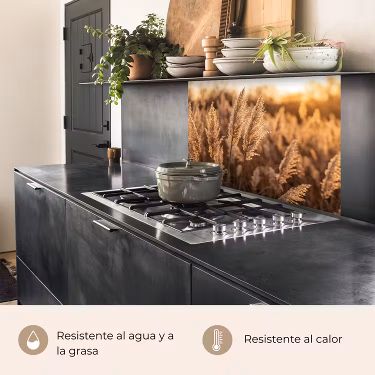 Revestimiento cocina - Penachos de junco - Hierba - Puesta de sol - Dorado - Sereno — 4