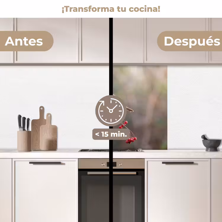 Revestimiento cocina - Petirrojo - Rama - Bayas - Naturaleza — 2