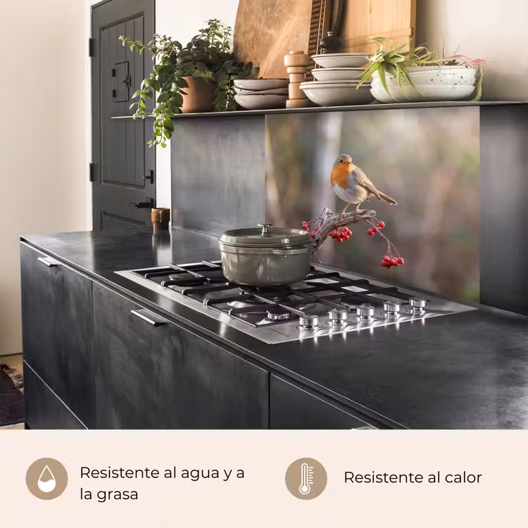 Revestimiento cocina - Petirrojo - Rama - Bayas - Naturaleza — 4