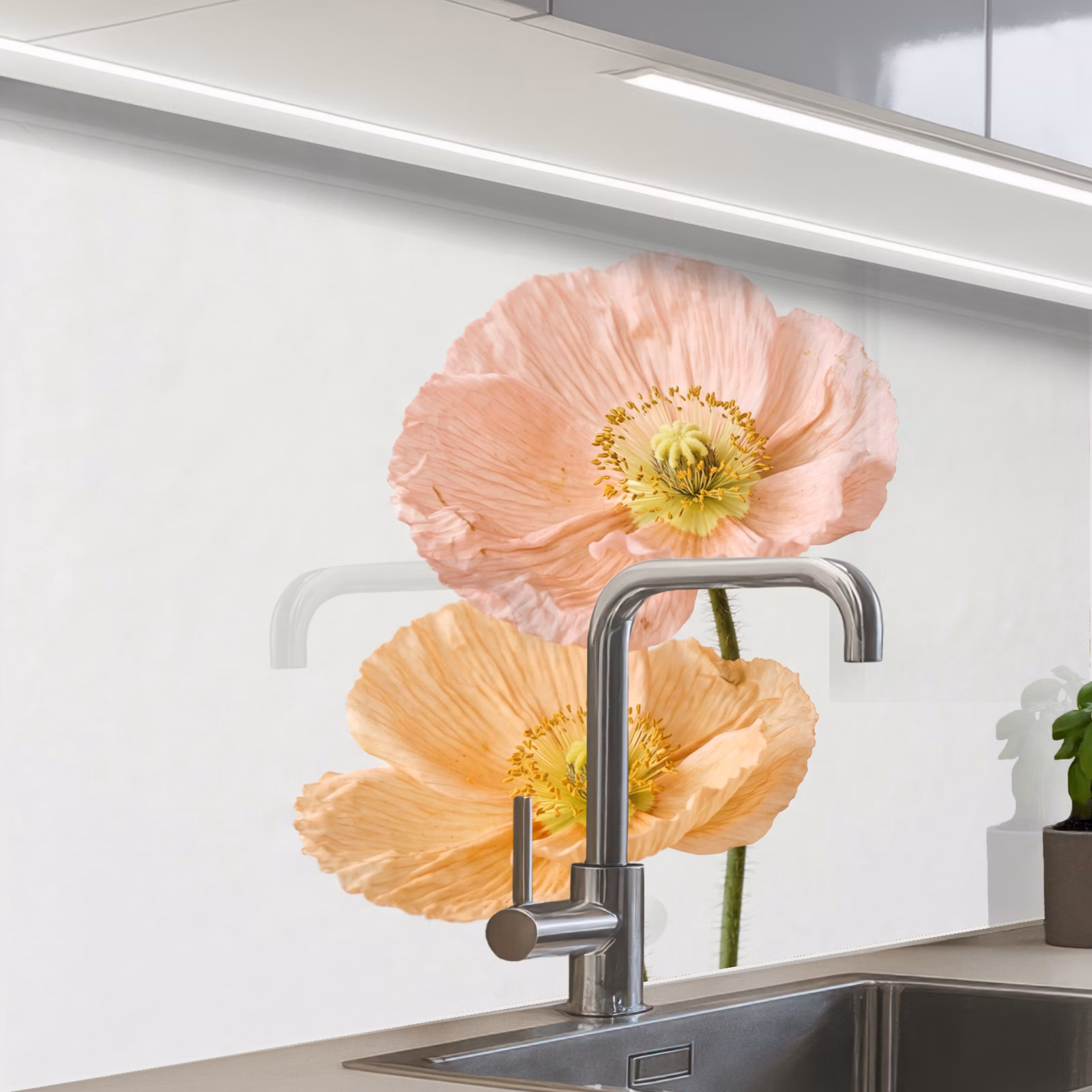 Revestimiento cocina - Amapolas - Botánico - Rosa — 1